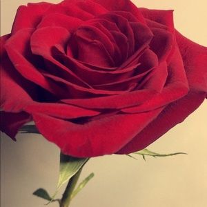 Meet your Posher, Alejandra